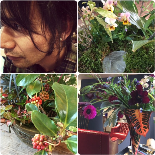 木咲さんのつくる植物