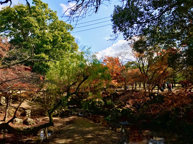 image1
