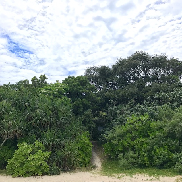 image6-9