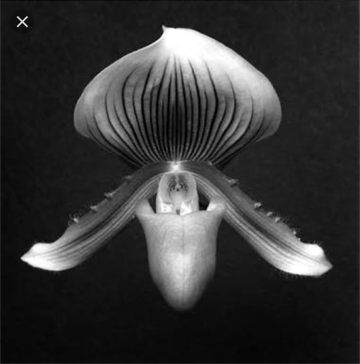 image4-4