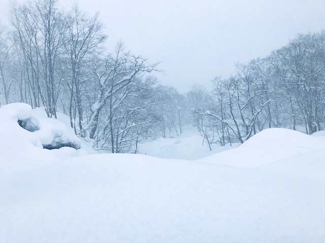 image1-100