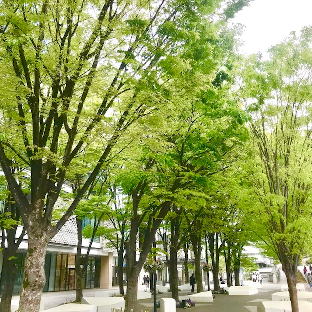 9E994D69-F416-4E61-B433-31101E73DCAC