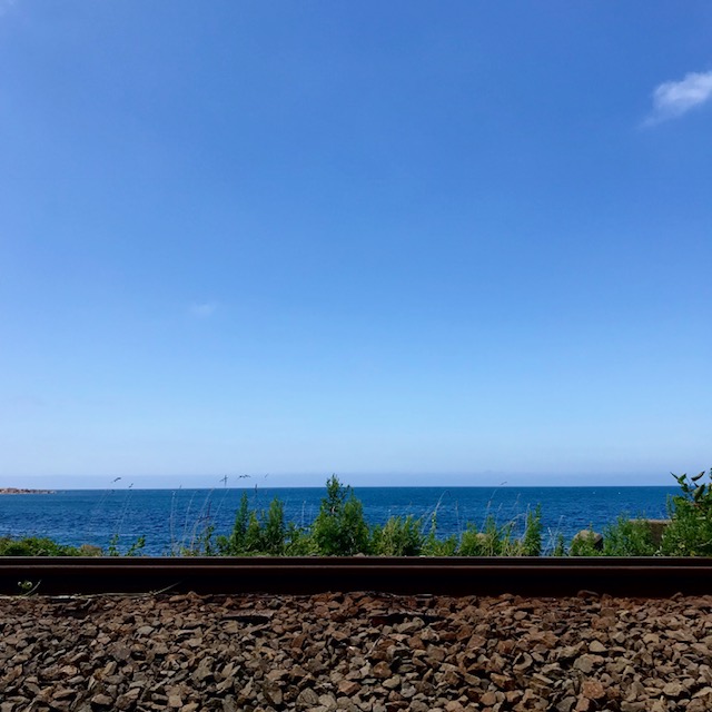 0D078CF7-D4DE-4E24-B3BC-E7EE1918D728